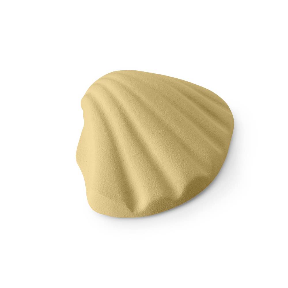 Lineasette Conchiglia In Linea