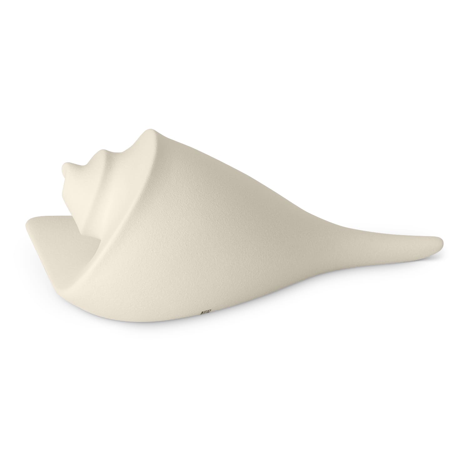 Lineasette Conchiglie Prezzo Ridotto