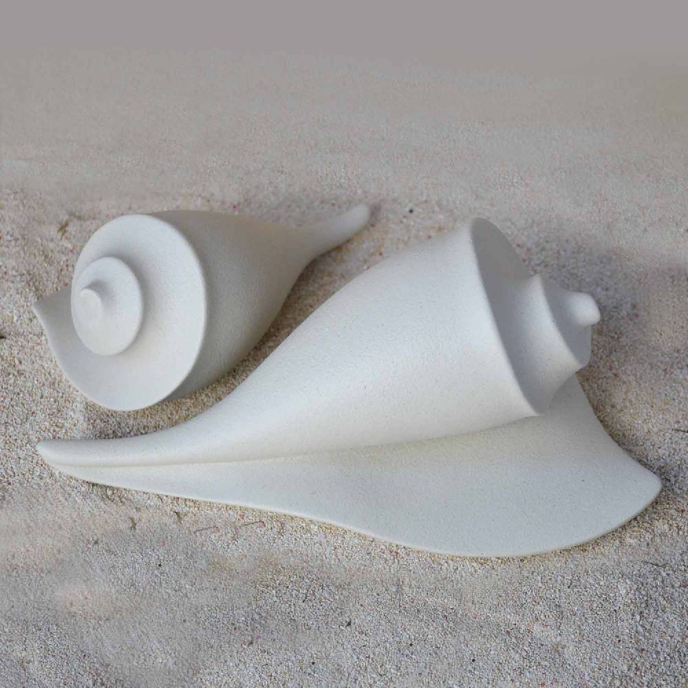Lineasette Conchiglie Prezzo Ridotto