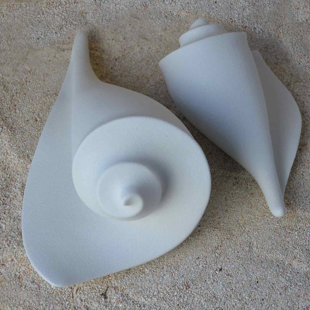 Lineasette Conchiglie Prezzo Ridotto