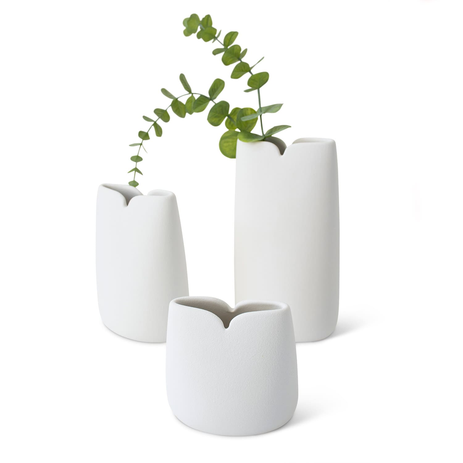 Lineasette Tulipani Negozio