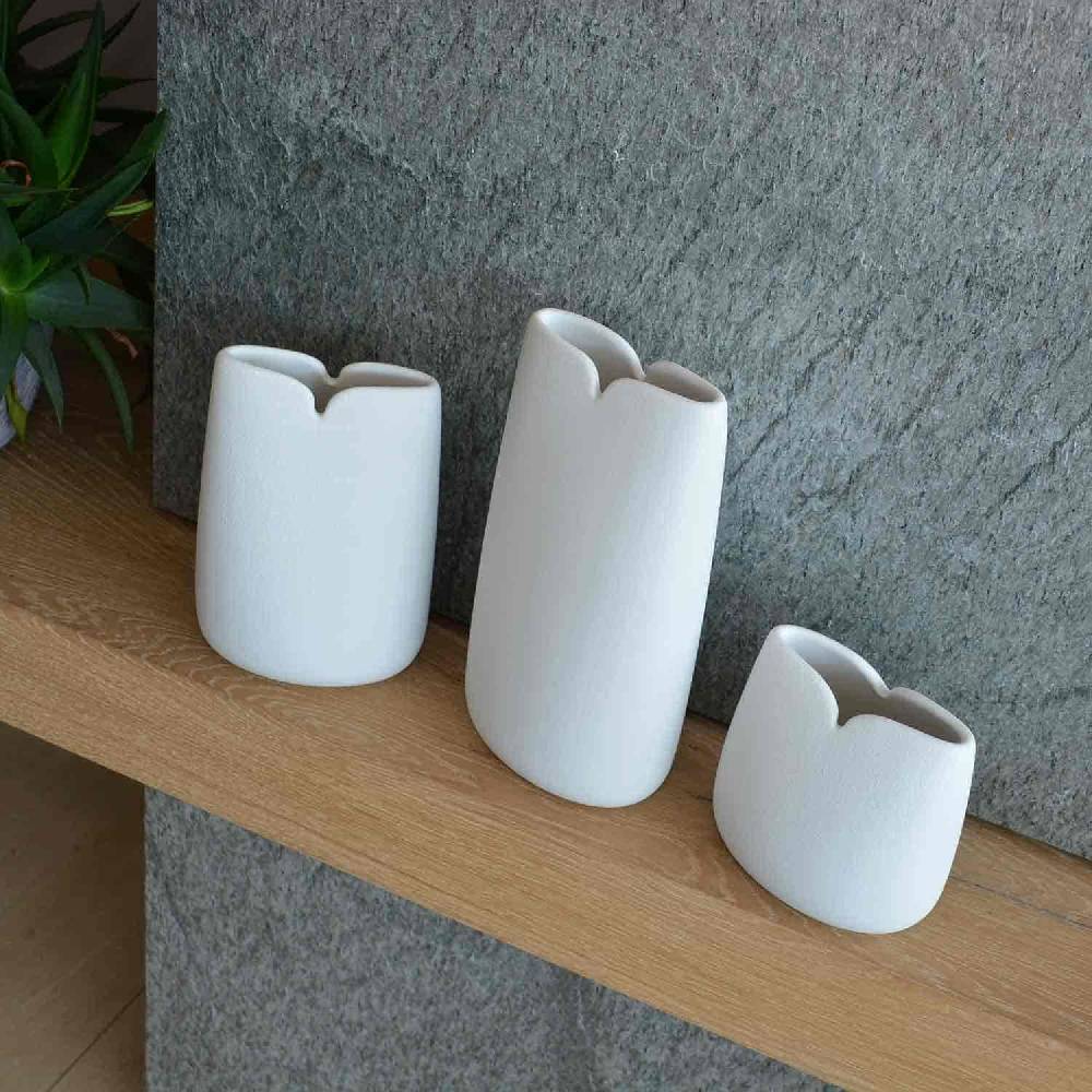 Lineasette Tulipani Negozio
