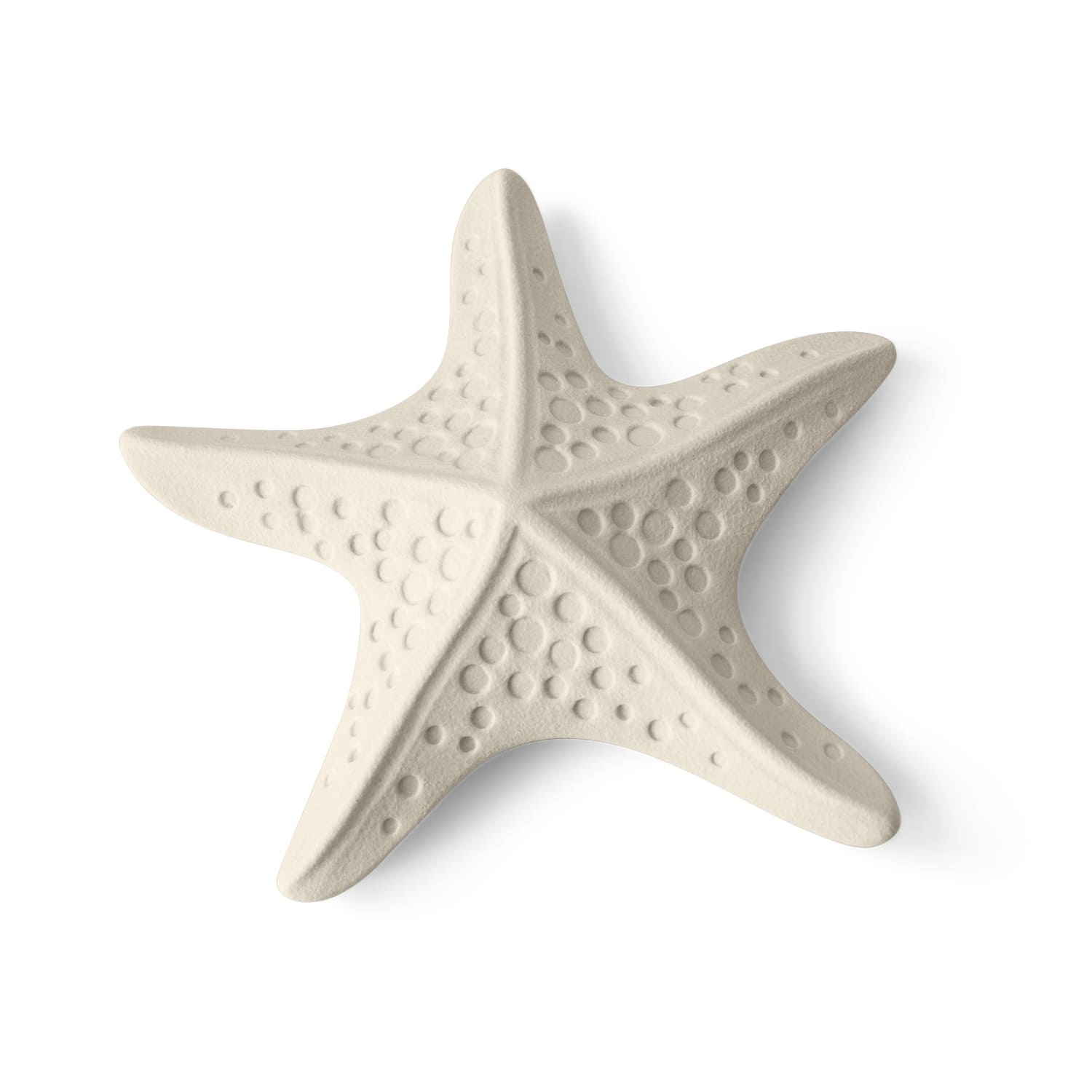 Lineasette Stella marina Sconto