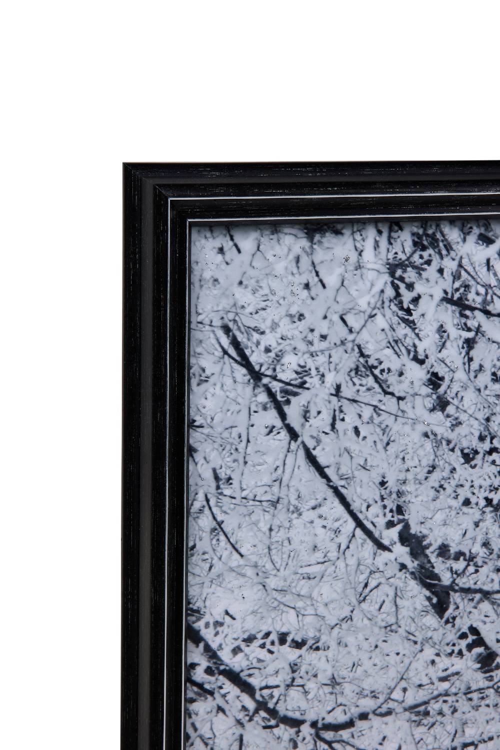 Novità Home Gallery - Quadro Viale Alberato In Vendita