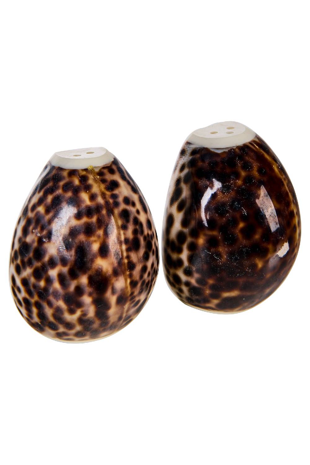 Novità Home Spotted Shells - Sale E Pepe Offerte stagionali
