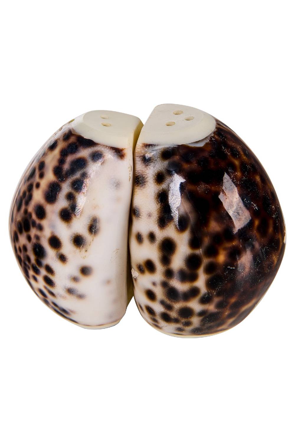 Novità Home Spotted Shells - Sale E Pepe Offerte stagionali