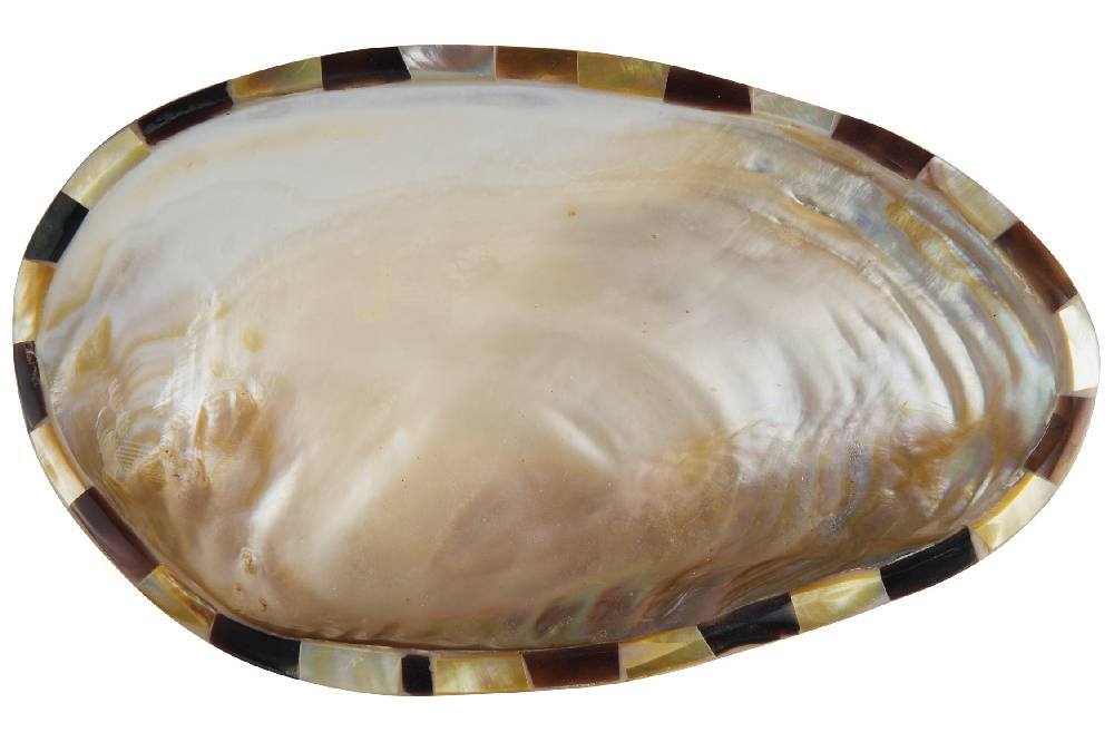 Novità Home Manyuse - Svuota Tasche Conchiglia Enormi risparmi