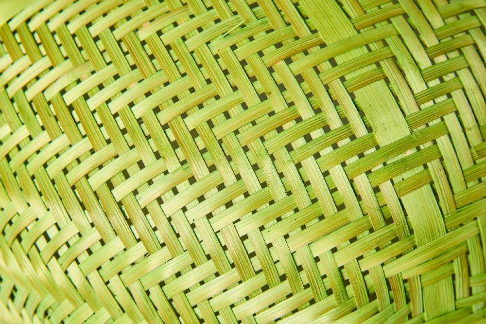 Novità Home Homemade - Coprivivande Tondo Verde Flash Sale
