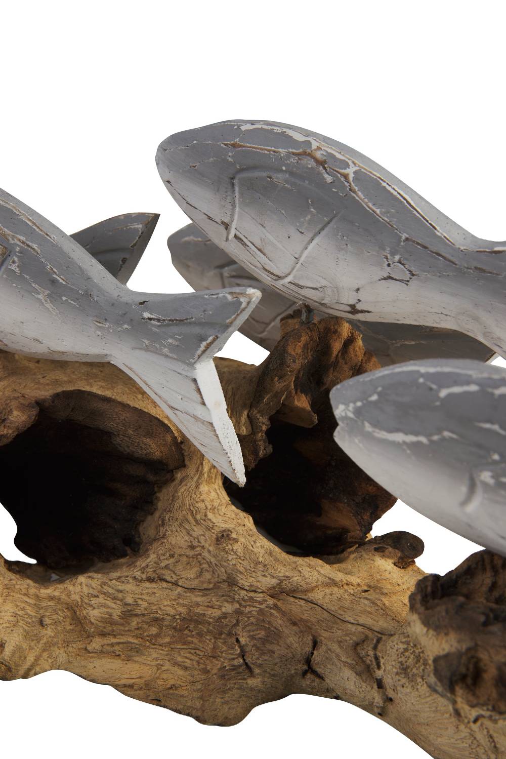 Novità Home Fish - Branco Pesci Grigi Su Tronco Nuovo