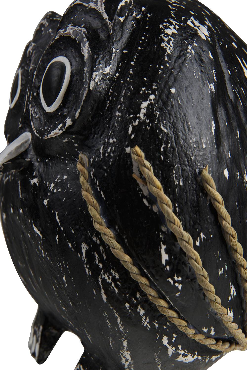 Novità Home Decor - Civetta Cocco Nera Presa