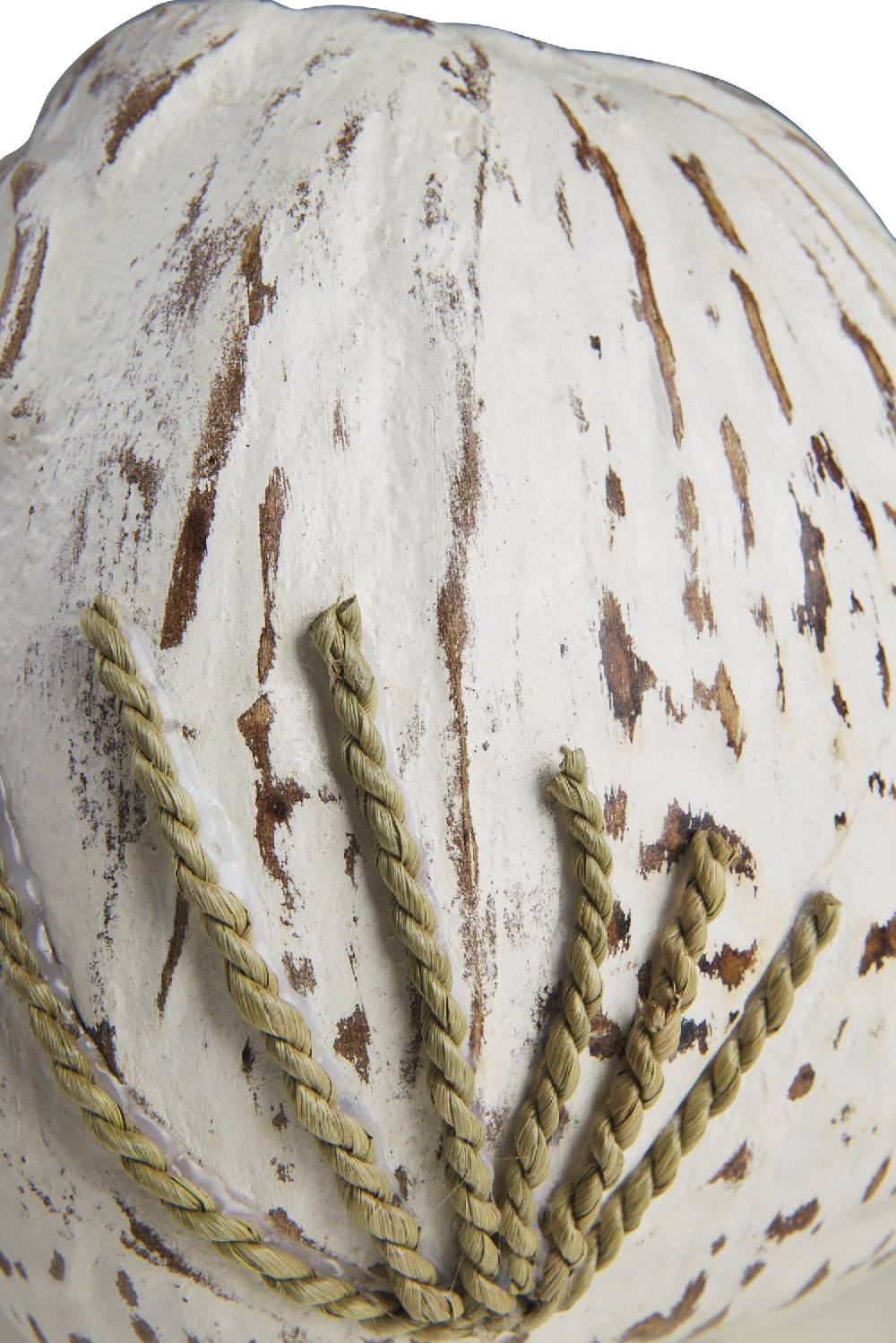 Novità Home Decor - Civetta Cocco Bianco Offerta