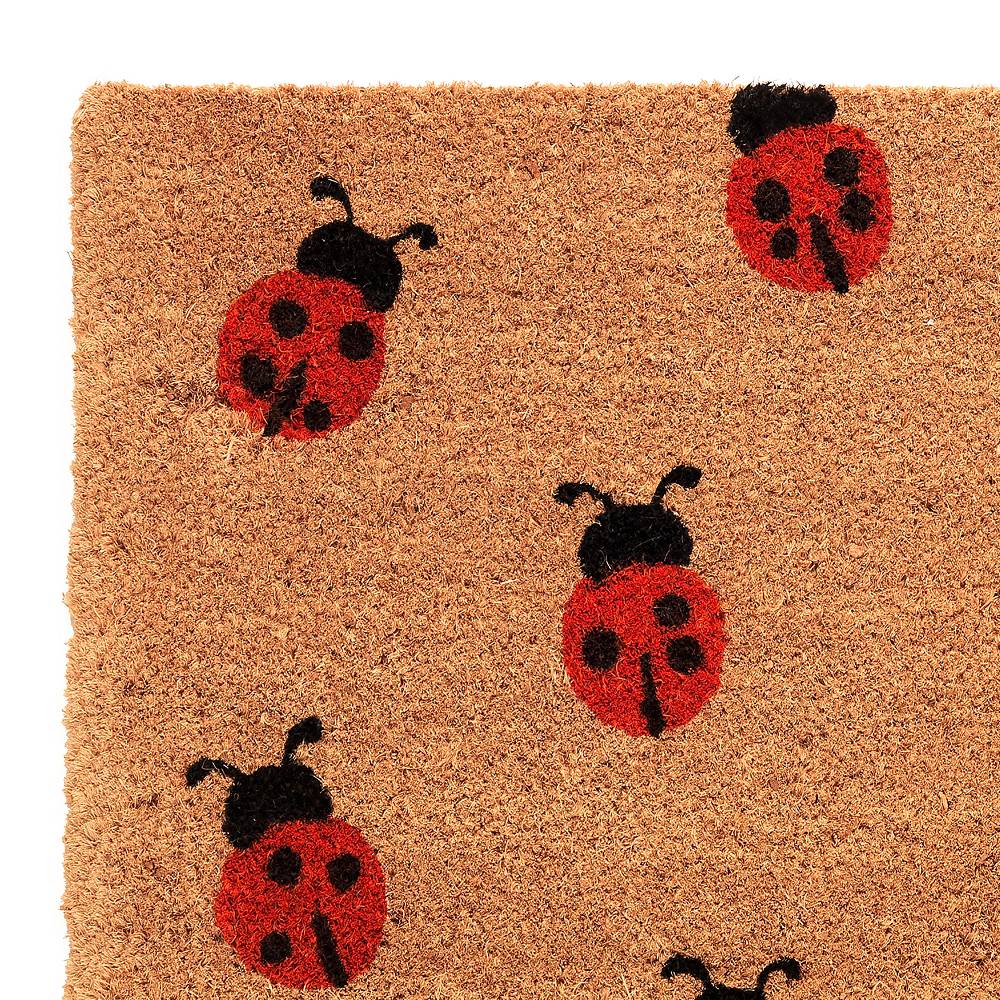 Oresteluchetta Zerbino LADYBUG Consegna Veloce