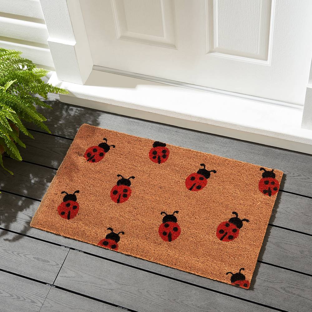 Oresteluchetta Zerbino LADYBUG Consegna Veloce