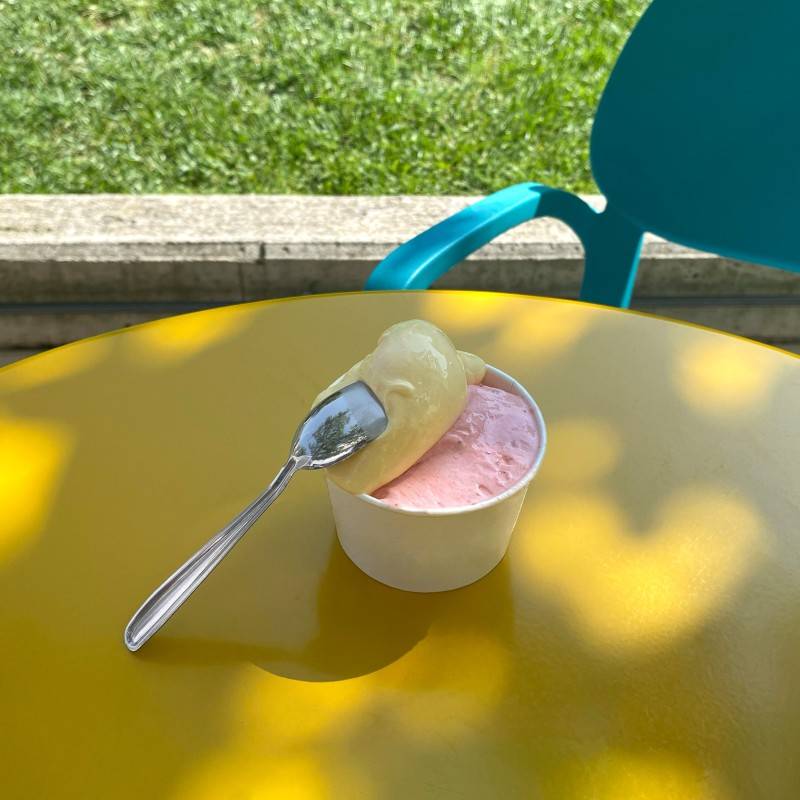 Pintinox USE&REUSE » Paletta gelato Saldi
