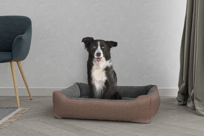 Leroymerlin CUCCIA LOVE SOGNI E CAPRICCI PETS 84x66 cm TORTORA In Vendita