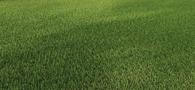 Leroymerlin Erba artificiale 20 mm NATERIAL Zante al rotolo 5 x 1 m 5 m² Prezzo basso