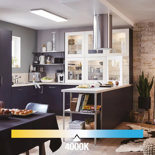 Leroymerlin Pannello LED Anvik bianco 30x120 cm INSPIRE Luce bianco naturale 4000 LUMEN Offerta natalizia