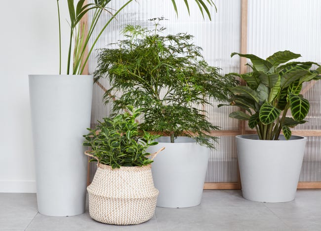 Leroymerlin Vaso per piante e fiori AMSTERDAM ECOPOT'S in polipropilene grigio chiaro H 70 cm Ø 32 cm Fino al 50% di sconto