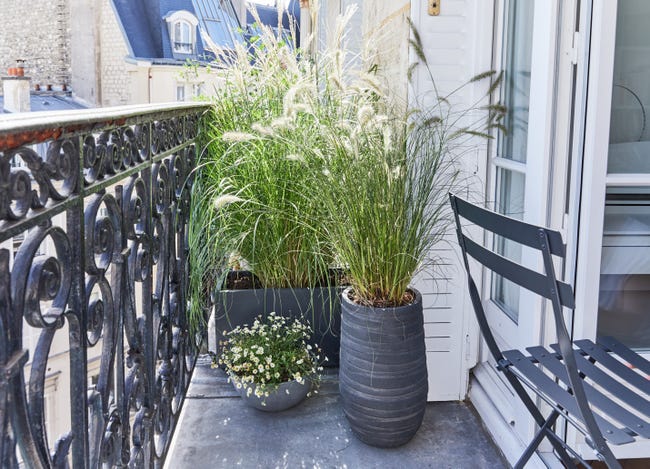 Leroymerlin Vaso per piante e fiori BRUSSELS ECOPOT'S in polipropilene grigio H 14 cm Ø 30 cm Offerta speciale della fabbrica