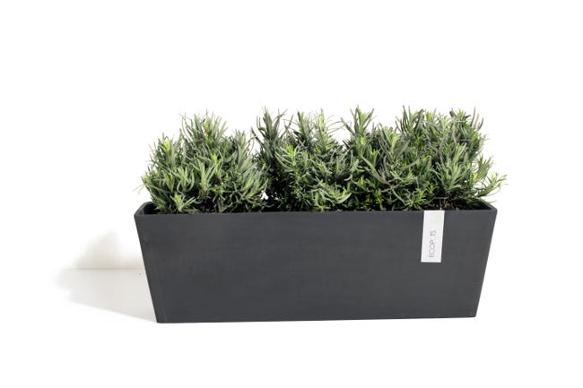 Leroymerlin Fioriera BRUGES ECOPOT'S in resina antracite H 17 cm L 55 x P 17 cm Solo un giorno rimasto