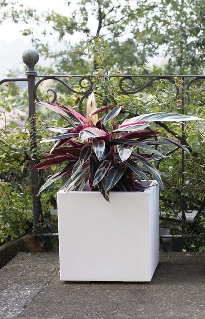 Leroymerlin Coprivaso per piante e fiori KEBE in polipropilene bianco H 40 cm L 40 x P 40 cm 50% di sconto con spedizione gratuita