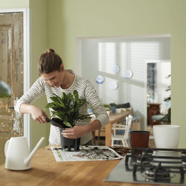Leroymerlin Vaso con supporto ELHO Auto-irrigante in polipropilene nero H 39 cm Ø 42.8 cm Spedizione Gratuita