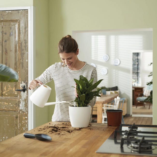 Leroymerlin Vaso con supporto ELHO Auto-irrigante in polipropilene nero H 39 cm Ø 42.8 cm Spedizione Gratuita
