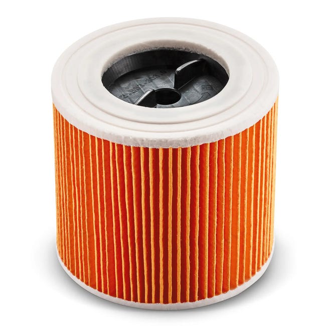Leroymerlin Cartuccia per filtro KARCHER per lavasciuga