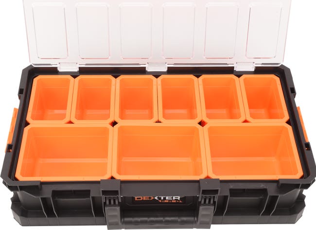 Leroymerlin Cassetta porta attrezzi DEXTER PRO L31.1 X H13.2 X P54.6 cm Offerta migliore