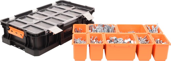 Leroymerlin Cassetta porta attrezzi DEXTER PRO L31.1 X H13.2 X P54.6 cm Offerta migliore