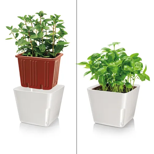Tescoma VASO PER PIANTE QUADRATO BIANCO Convenienza