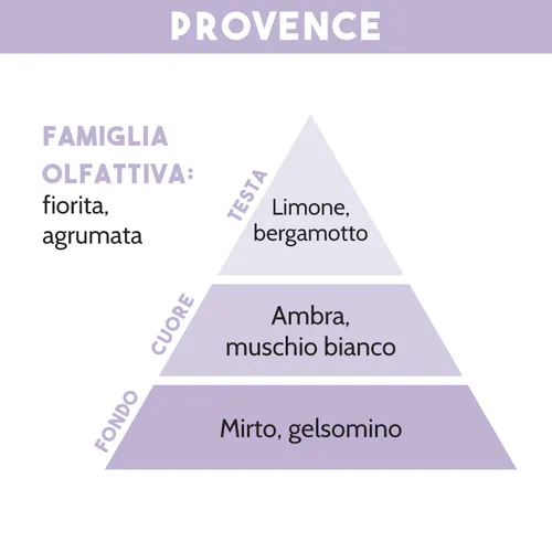 Tescoma DIFFUSORE DI ESSENZA PROVENCE 200 ml Qualità Garantita