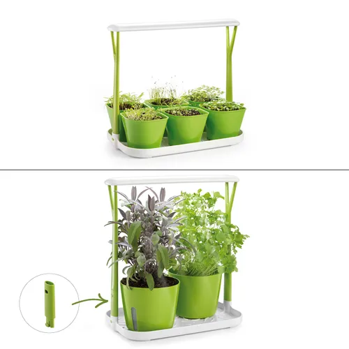Tescoma ORTO DA INTERNO CON LUCE A LED Affare Del Giorno