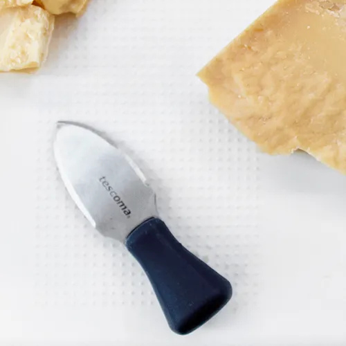 Tescoma COLTELLO PER FORMAGGIO GRANA Promozione temporanea