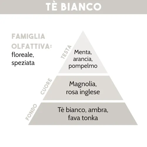 Tescoma DIFFUSORE DI ESSENZA TE' BIANCO 200 ml Offerta speciale