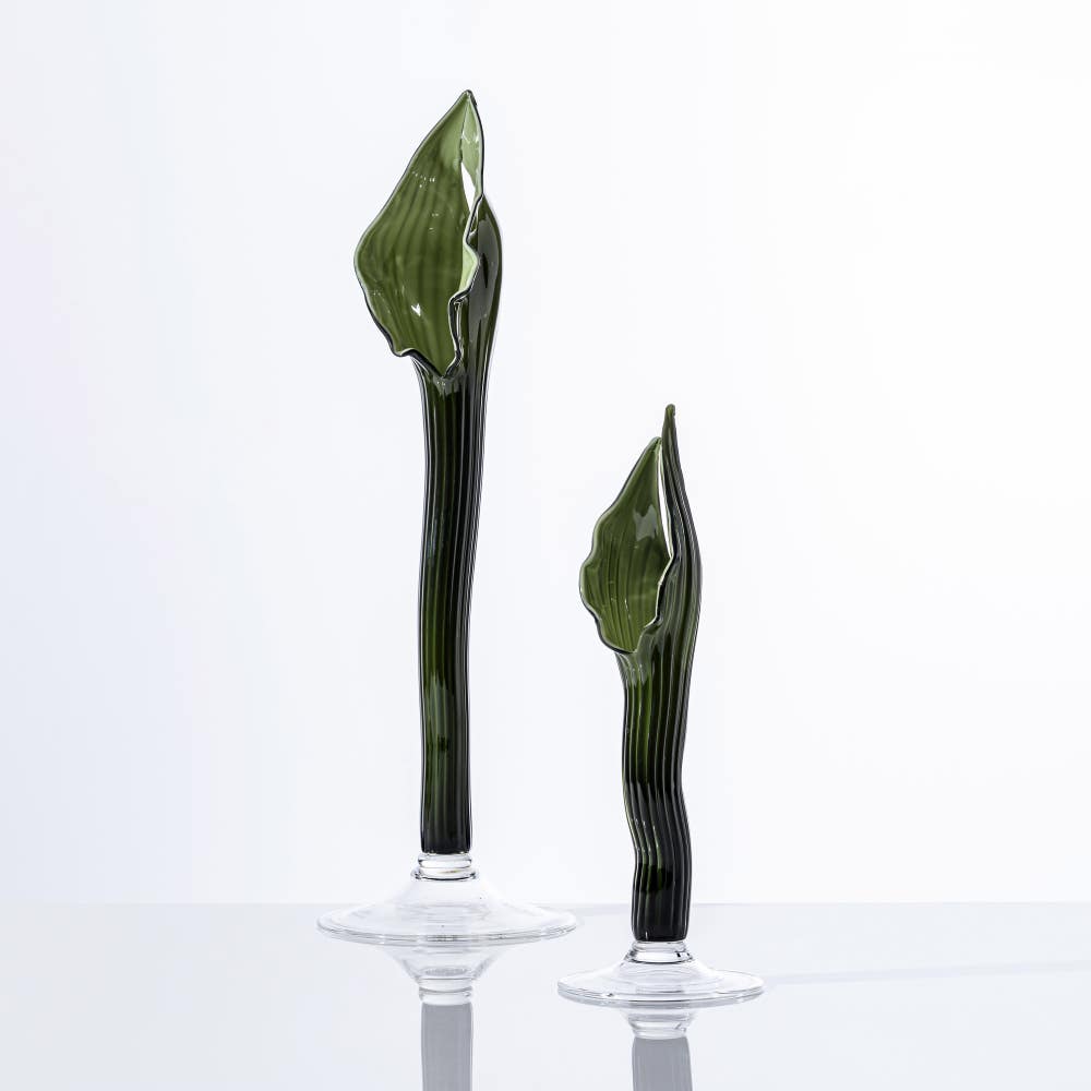 Venini CHRYSALIS Economico